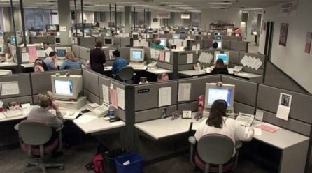 Cerevelem Call 7, the Global Berlin based Germany MNC subsidary is based in Noida India and provides Call Centres and BPO Solutions