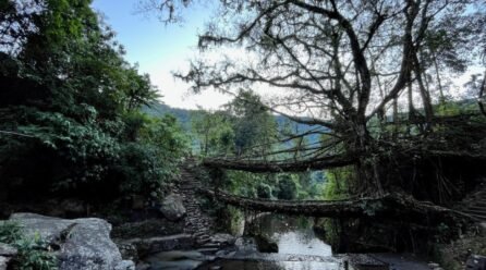 Muddie Trails Crosses 50,000 Travelers and Opens New Journeys into Tawang and Meghalaya